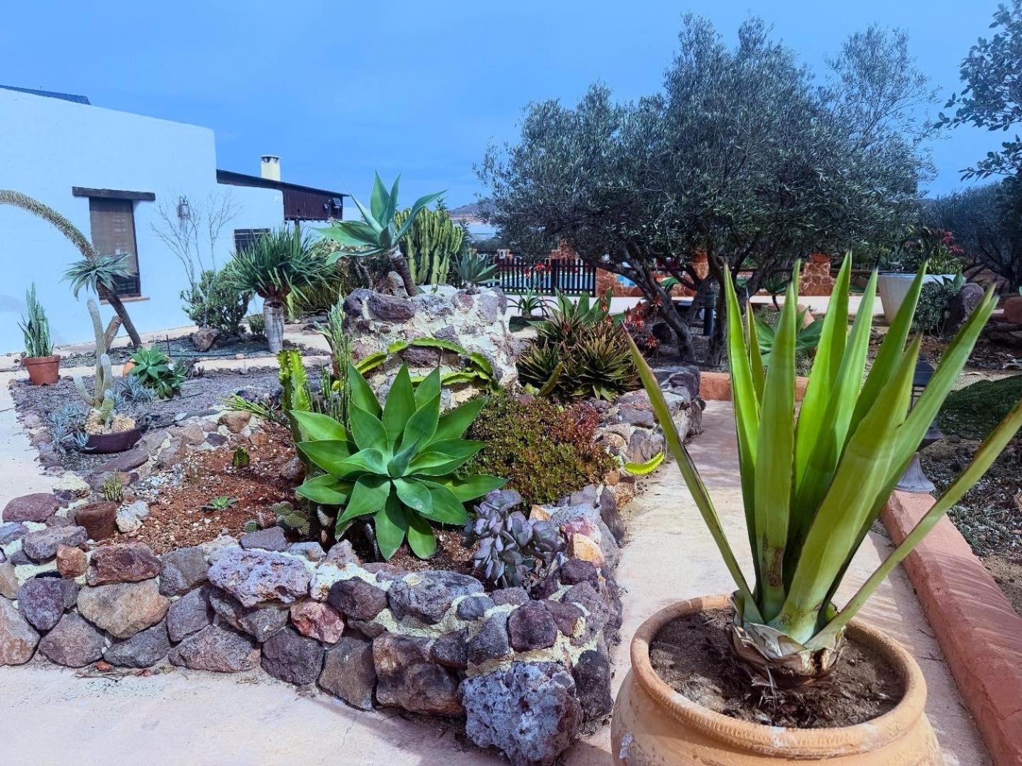 Olivares Rural Los Albaricoques Exterior photo